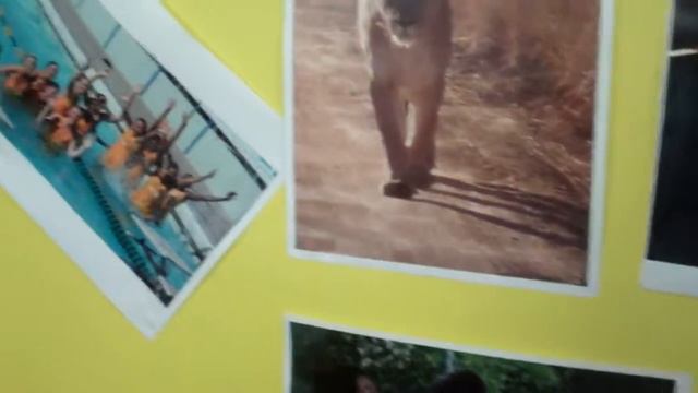 PROTEA NETBALL LOCKER ROOOM смотреть онлайн