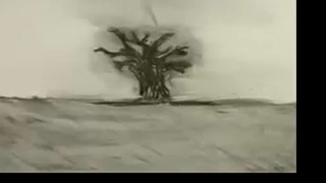 The seed of capoeira смотреть онлайн