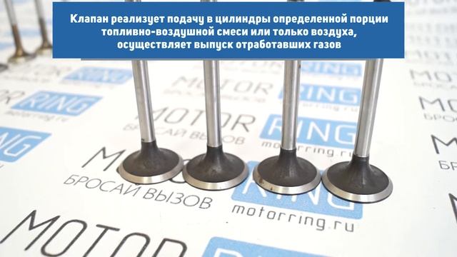 Комплект клапанов ВолгаАвтоПром для ВАЗ 8 кл 1.5 л | MotoRRing.ru смотреть онлайн