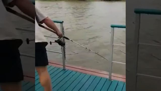 Рыбалка на щуку и сома на рыболовной на базе смотреть онлайн