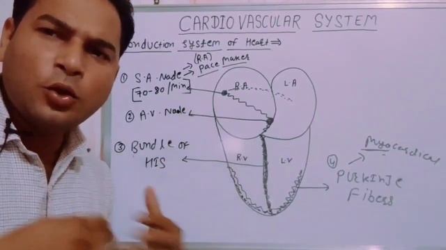 SA Node bundle of his heart part 3 смотреть онлайн