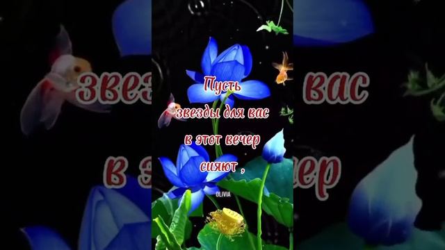 ДОБРЫЙ ВЕЧЕР смотреть онлайн