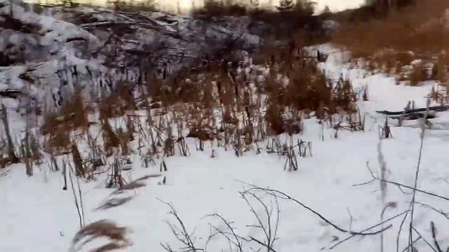 Поставил ловушки для бобра . часть 1 смотреть онлайн
