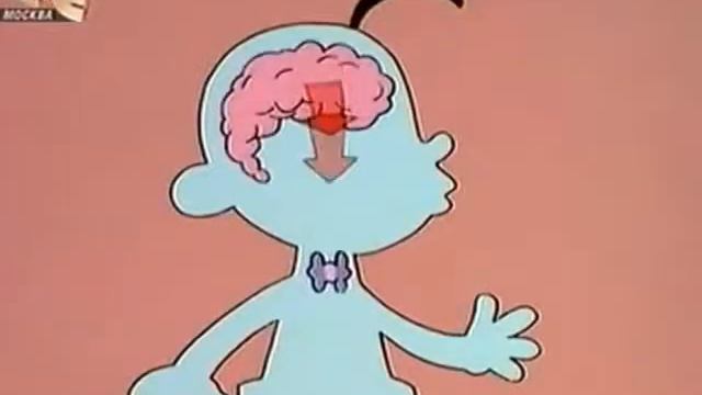 что нужно детям (рост тела человека) смотреть онлайн