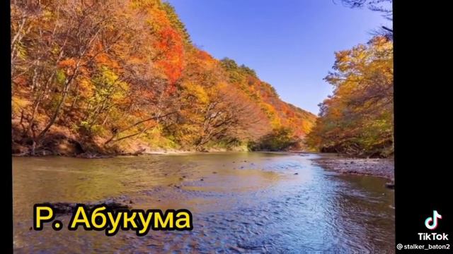 самые радиоктивные реки в мире смотреть онлайн