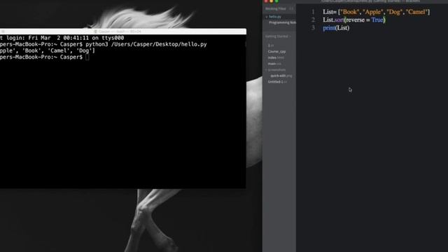 Using sort and reverse methods Day 28 in python смотреть онлайн