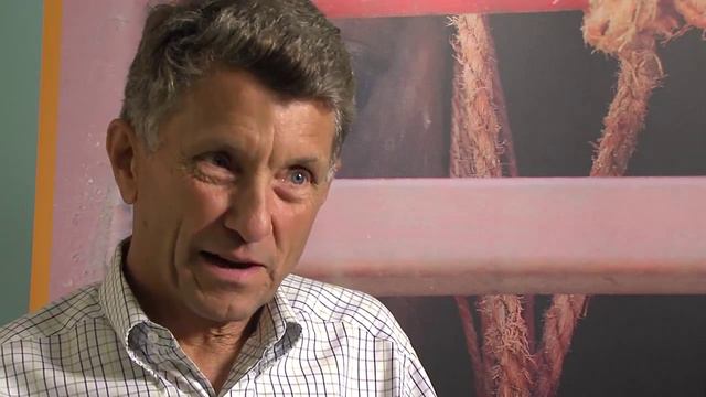 Experts Discuss Welfare Of Horses Transported To Slaughter