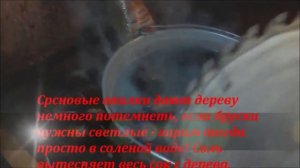 Как высушить березовый сувель