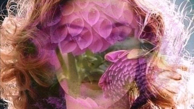 ВСЕ О ЖЕНЩИНАХ!! смотреть онлайн