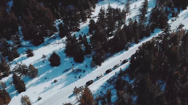 VSC Snow Cruise 2019 смотреть онлайн