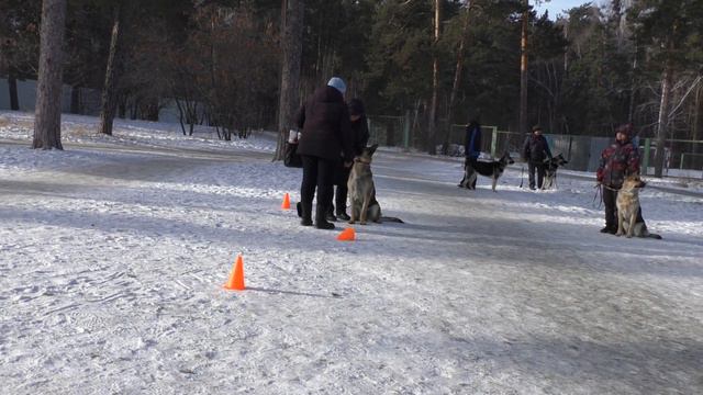 Тестирование РА Опасная Особа ТОЛПА смотреть онлайн