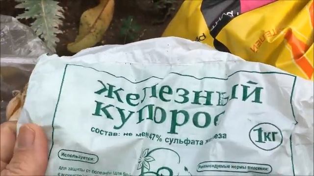 САДОВЫЕ РАБОТЫ В НОЯБРЕ / ОСЕННИЕ РАБОТЫ В САДУ / МОЙ РАБОТЫ ОСЕНЬЮ В САДУ / МОЙ ОПЫТ САДОВОДСТВА смотреть онлайн