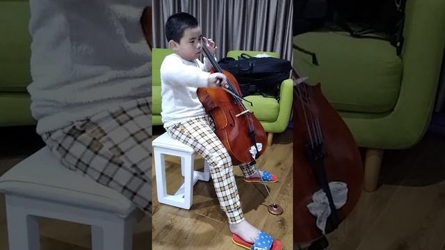 cello(1) смотреть онлайн