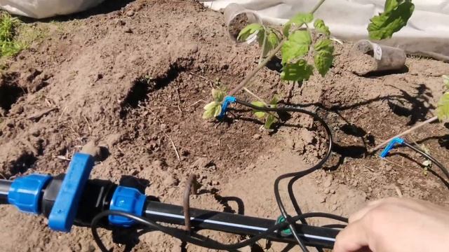 Капельный полив делаю сам в первый раз смотреть онлайн