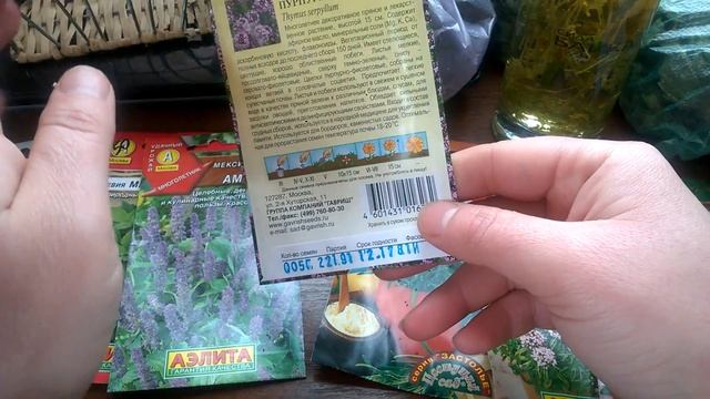 лекарственные травы на грядке смотреть онлайн