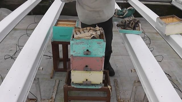 Стимуляторы и корма для пчёл смотреть онлайн