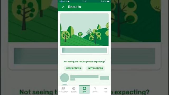 PlantSnap Identifies A Birthwort (Aristolochia Clematitis)