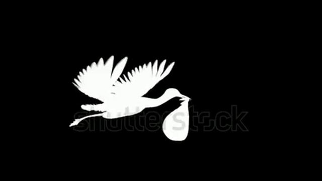 летит аист вид смотреть онлайн