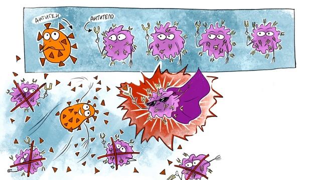 Как работает иммунитет? смотреть онлайн