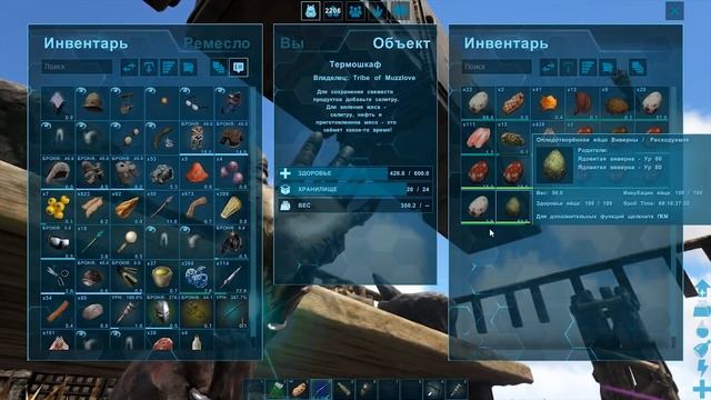 ВОРУЕМ ЯЙЦА И РАСТИМ ВИВЕРНУ - ARK Survival Evolved Выживание на Ragnarok #16 смотреть онлайн