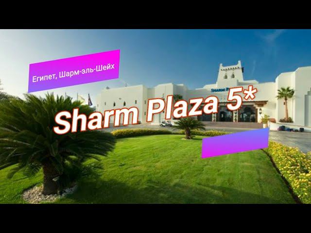 Отзыв об отеле Sharm Plaza 5* (Египет, Шарм-эль-Шейх) смотреть онлайн