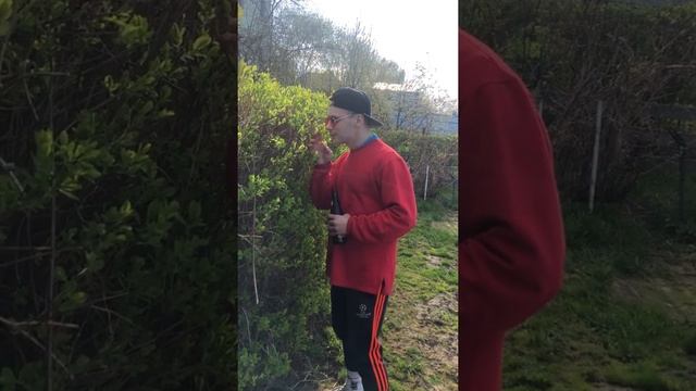 Понасенков дача смотреть онлайн