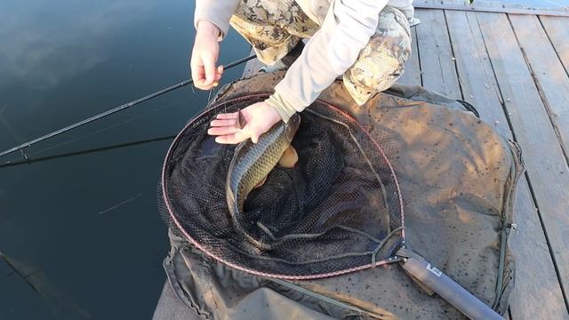 Супер рыбалка на карпа весной! смотреть онлайн