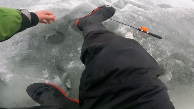 Муствеэ кишит окунем Чудское озеро зимняя рыбалка смотреть онлайн