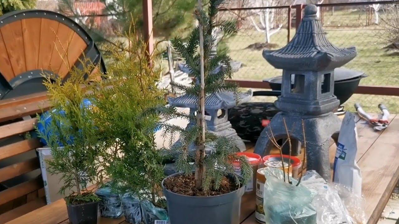 10 апреля 2023г. Распаковка! Новые растения, обзор зимних покупок смотреть онлайн