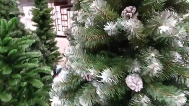В OBI за подарками #РазнообразиеЕлок #Украшения #МореЦветов смотреть онлайн