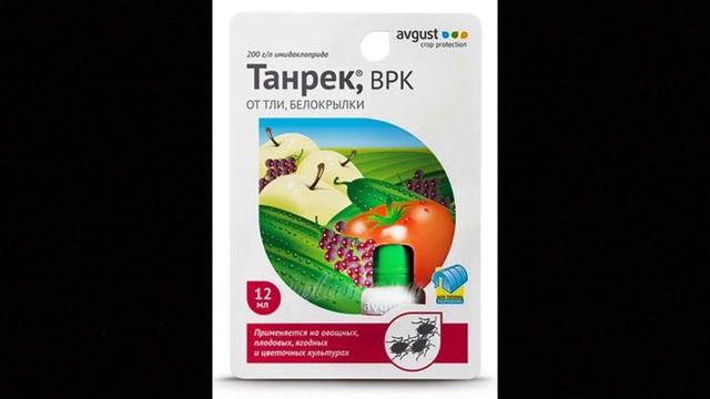 Как я спасала САМШИТ. Мои САМШИТОВЫЕ ТОПИАРИИ смотреть онлайн