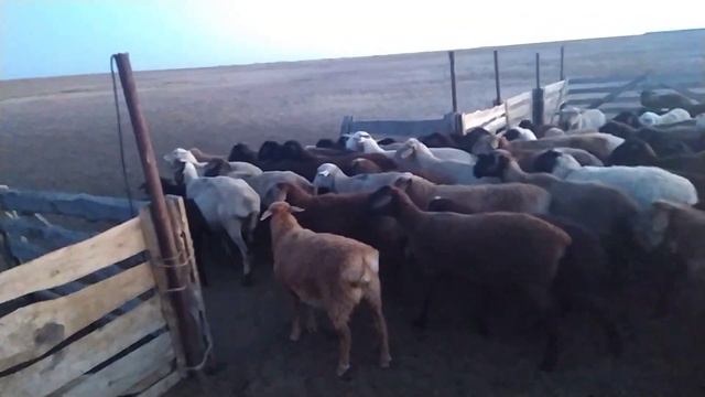 Смотрите инстаграм смотреть онлайн