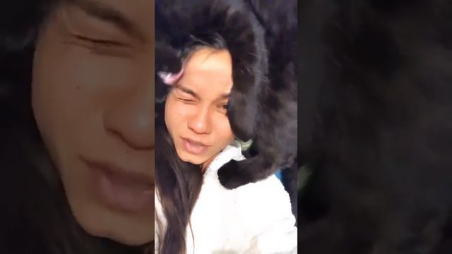 How has the panther Luna changed in a year❤️ / little leopard 🐆 смотреть онлайн