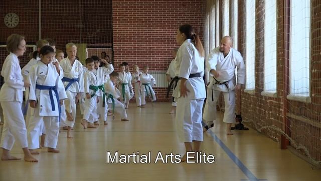 Каратэ Сетокан JKS. Медведева Анна. Семинар (2017; ч 1)