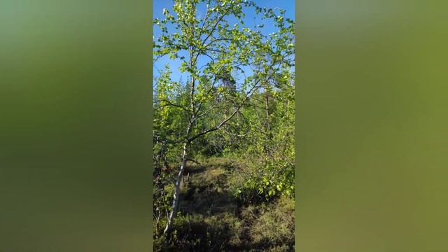 народная примета смотреть онлайн