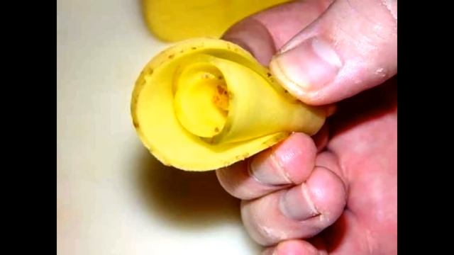 Картофельные розы. смотреть онлайн