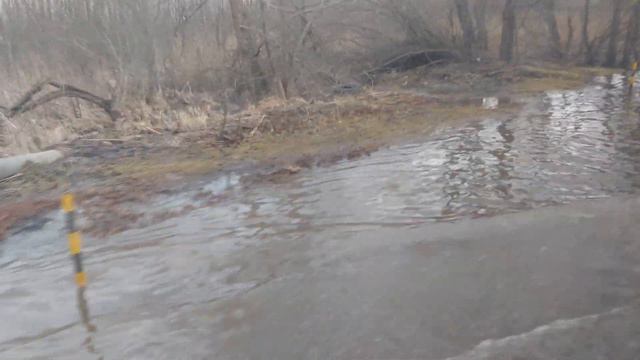 Затопленная дорога на пути в Прегольский в Калининграде смотреть онлайн