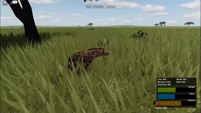 A Hacker Giraffe ? Wild Savanna Roblox смотреть онлайн