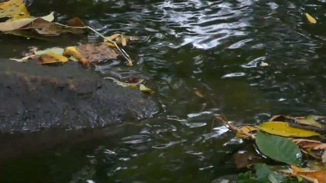 Музыка для благодатного состояния души. Весь негатив утекает как вода. смотреть онлайн