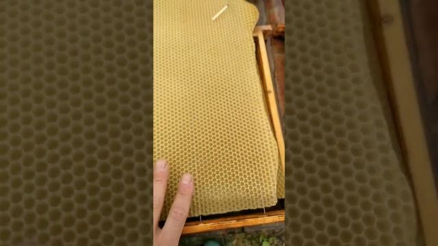 зачем нужны рамки в ульях