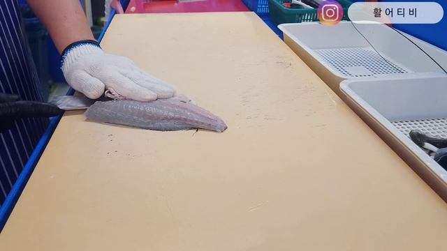 감성돔 회뜨기! 때깔 좋네요! black sea bream смотреть онлайн