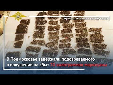 Ирина Волк: В Подмосковье задержали подозреваемого в покушении на сбыт 70 килограммов марихуаны смотреть онлайн