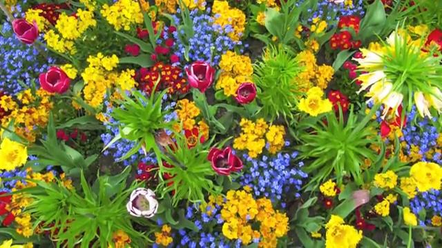 Достопримечательности Лондона: "обязательная" программа, или мой Топ 5 смотреть онлайн