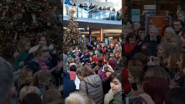 Christmas ukes@ The Forum смотреть онлайн