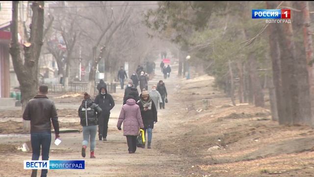 Проспект Жукова в Волгограде качественно преобразится к 125-летию легендарного маршала