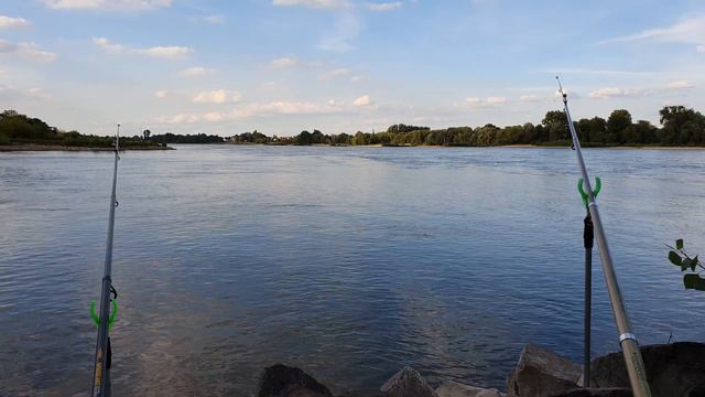 Расслабляющая видео заставка Видео о рыбалке Relaxing screensaver Fishing Video 4К Видео без звука смотреть онлайн