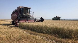 ЗЕРНОУБОРОЧНЫЙ КОМБАЙН ПАЛЕССЕ GS812