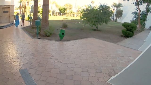 Shams Safaga Resort P1 Hotel And Rooms