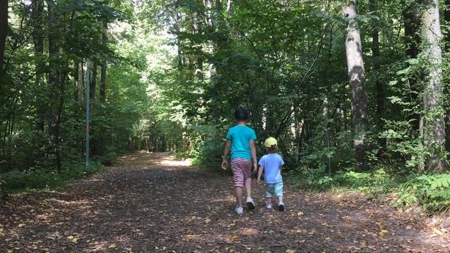 Дети в ВОЛШЕБНОМ лесу, где живут ГОРИЛЛЫ, гигантские ЗМЕИ смотреть онлайн