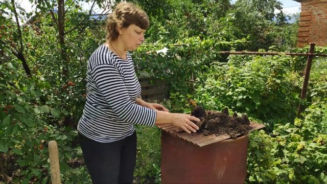 Прожарка земли для посадки домашних растений